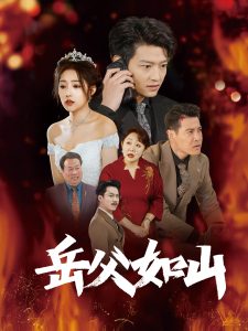 岳父如山 2025 短剧 海报