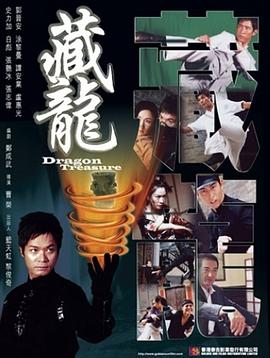 藏龙 2007 电影 海报