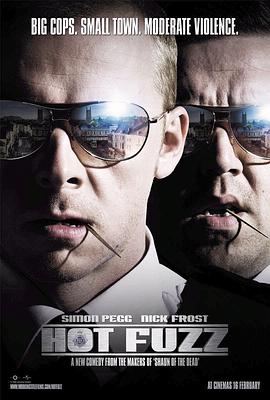 热血警探（国语版） 2007 电影 海报