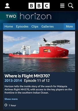 地平线系列：马航370，你在哪？ 2014 纪录片 海报