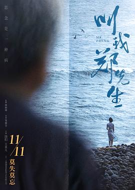 叫我郑先生 2022 电影 海报