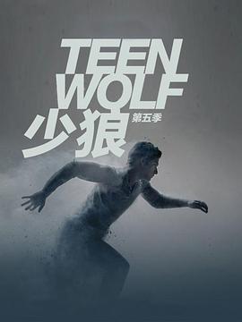 少狼 第五季 2015 电视剧 海报