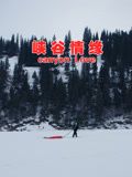 峡谷情缘 2024 电影 海报
