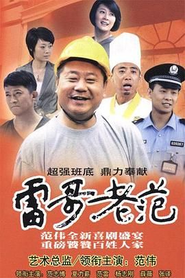 雷哥老范 2010 电视剧 海报