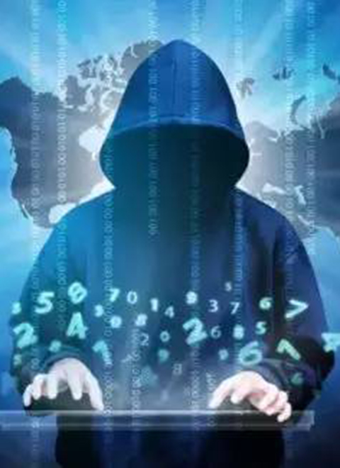 暗网：打击网络犯罪 2022 纪录片 海报