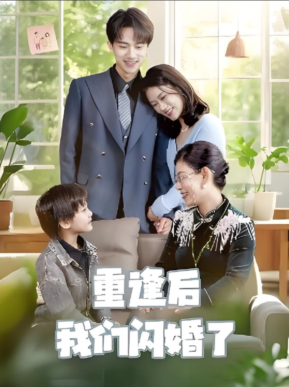 重逢后我们闪婚了 2025 短剧 海报