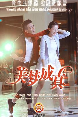 美梦成真 2015 电视剧 海报