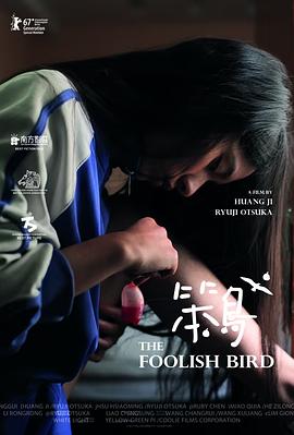 笨鸟 2017 电影 海报