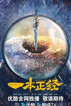 一本正经 2025 电视剧 海报