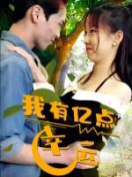我有亿点幸运 2024 短剧 海报