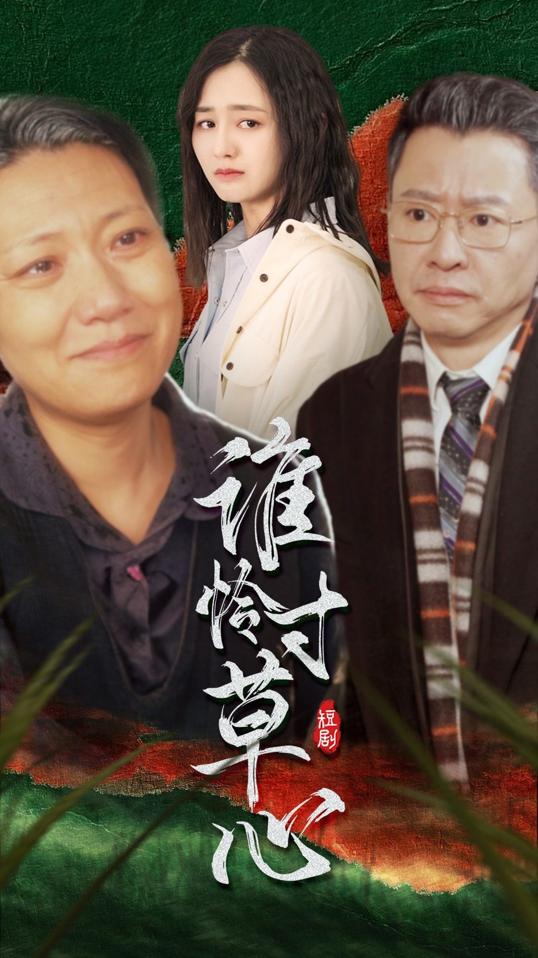 谁怜寸草心 2024 短剧 海报