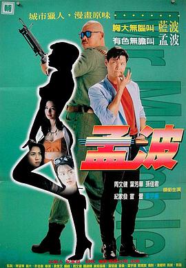 孟波 1996 电影 海报