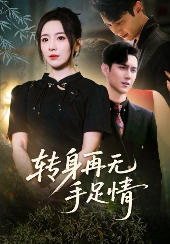 转身再无手足情 2025 短剧 海报