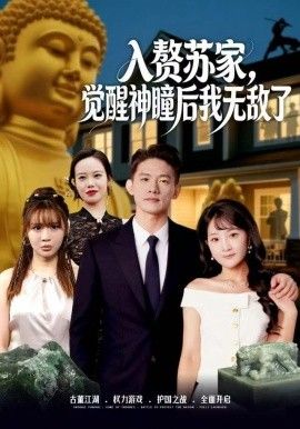 赘苏家，觉醒神瞳后我无敌了 2025 短剧 海报