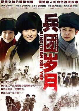 兵团岁月 2010 电视剧 海报