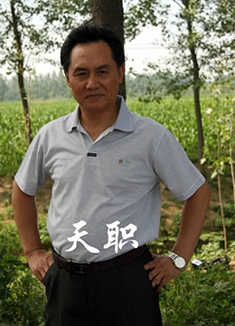 天职 2013 电影 海报