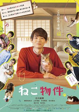 猫物件 2022 电视剧 海报