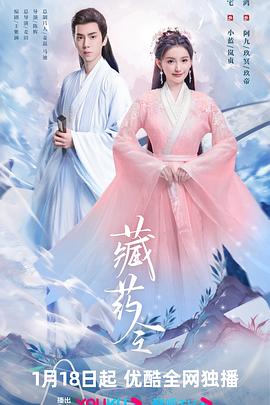 藏药令 2024 电视剧 海报