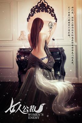 女人公敌 2013 电影 海报