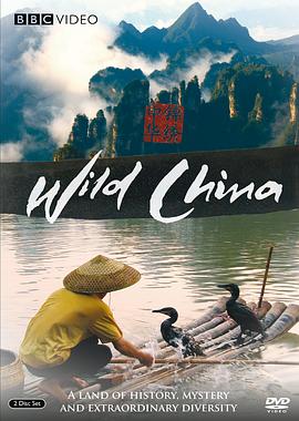 美丽中国 2008 纪录片 海报