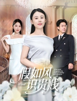 假如风识贵贱 2025 短剧 海报
