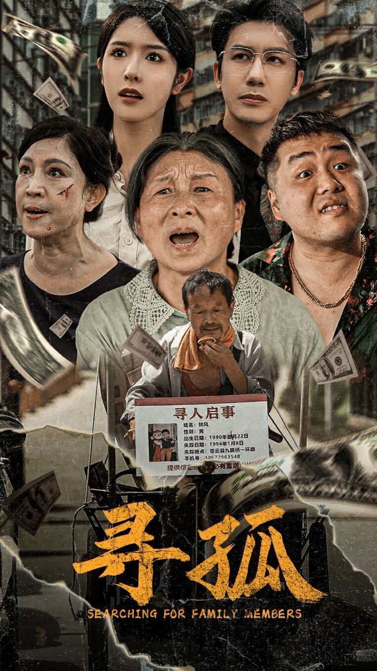 寻孤 2024 短剧 海报