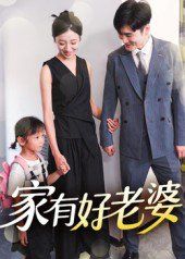 家有好老婆 2025 短剧 海报