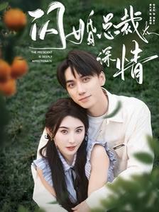 闪婚总裁太深情 2024 短剧 海报