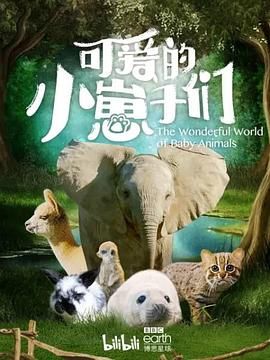 可爱的小崽子们 中文版 2019 纪录片 海报