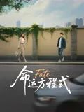 命运方程式 2025 电影 海报