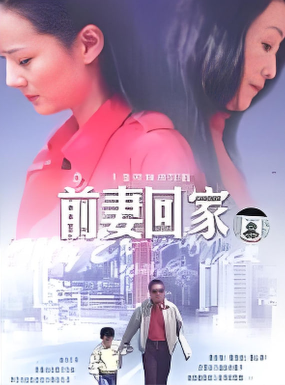 前妻回家 2007 电视剧 海报
