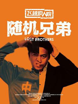 飞越疯人院之随机兄弟 2017 电影 海报