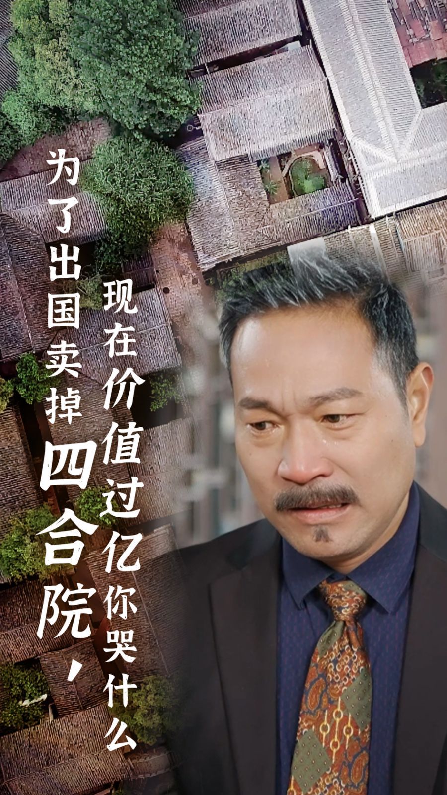 为了出国卖掉四合院现在价值过亿你哭什么 2024 短剧 海报