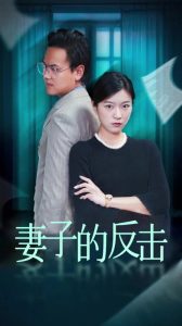 妻子的反击27集 2024 短剧 海报