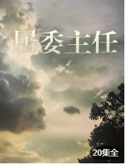 居委主任 1999 电视剧 海报