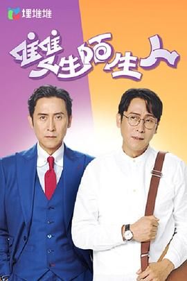双生陌生人 普通话版 2022 电视剧 海报