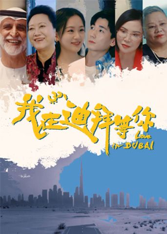 我在迪拜等你 2025 电视剧 海报