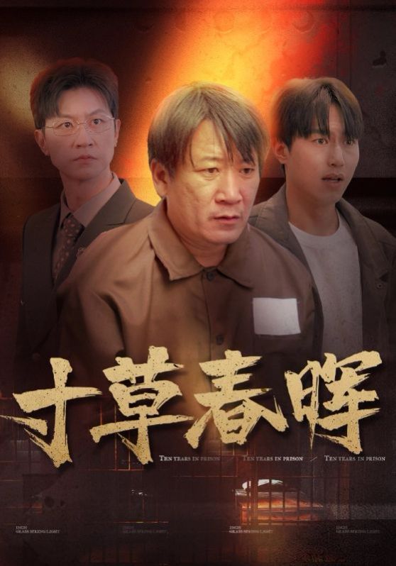 寸草春晖 2024 短剧 海报