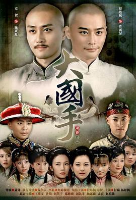 大国手之才子佳人 2010 电影 海报