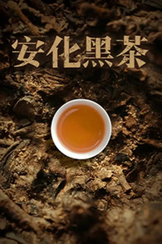安化黑茶 2025 电视剧 海报