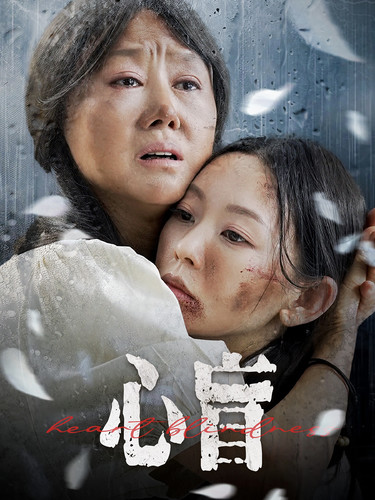 心盲 2024 短剧 海报