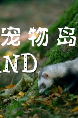 宠物岛 2016 纪录片 海报