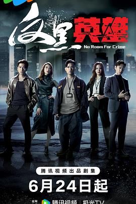 反黑英雄 普通话版 2024 电视剧 海报