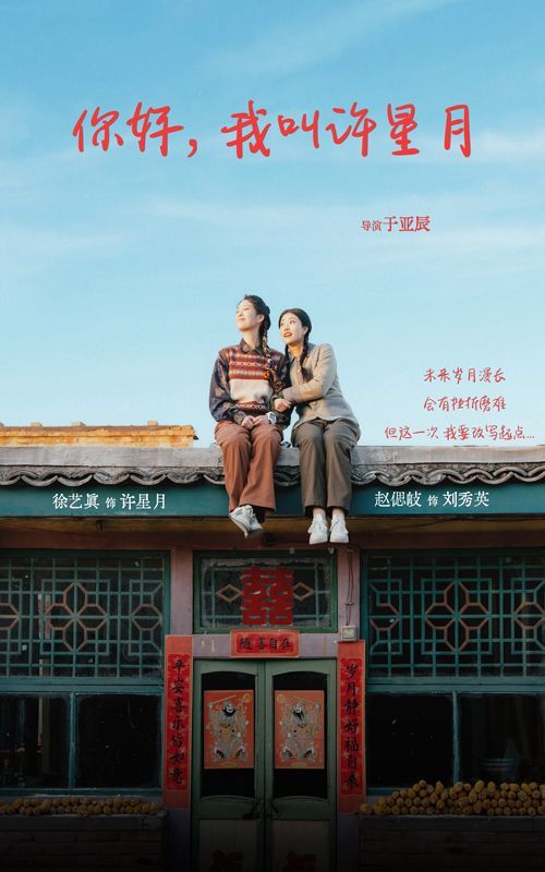 你好我叫许星月 2025 短剧 海报