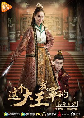 这个大王我罩的：真命间谍 2017 电影 海报