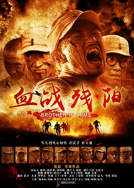 血战残阳 2013 电影 海报