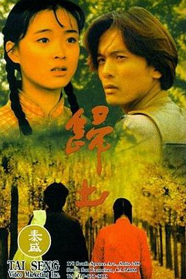 归土 1995 电影 海报