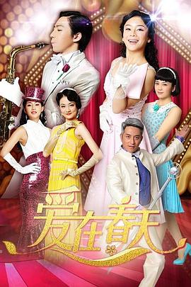 爱在春天 DVD版 2013 电视剧 海报
