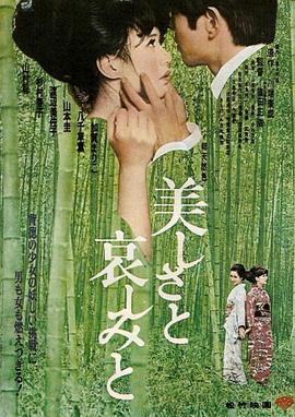 美丽与哀愁 1965 电影 海报