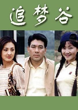 追梦谷 2003 电视剧 海报